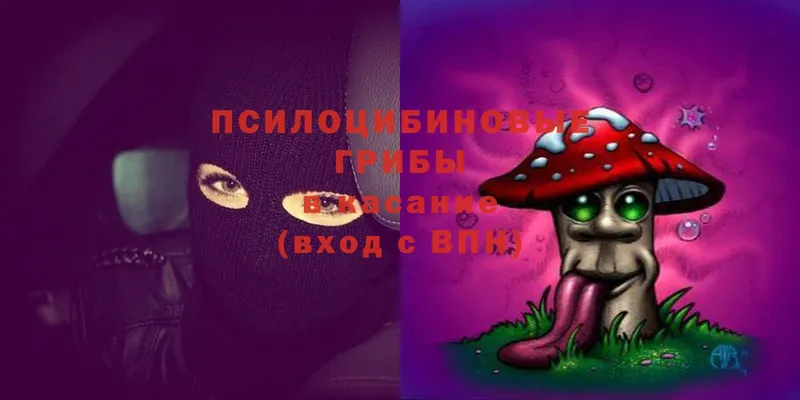 Галлюциногенные грибы MAGIC MUSHROOMS  Цоци-Юрт 